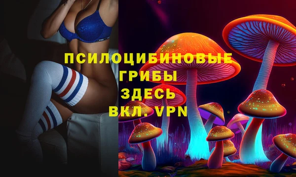 дживик Волоколамск