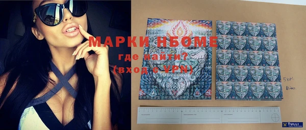стафф Бородино