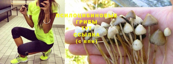 дживик Волоколамск