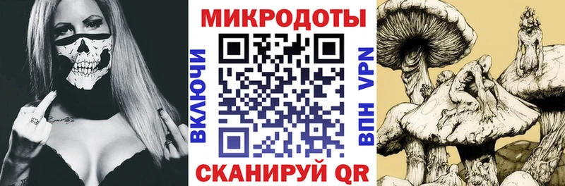Псилоцибиновые грибы мицелий  цены   Катав-Ивановск 
